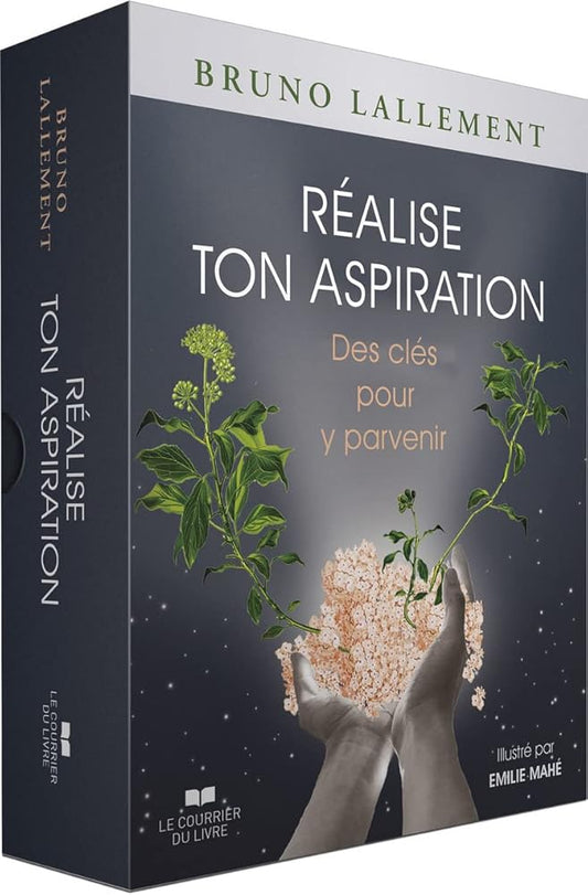 Coffret Réalise ton aspiration - Des clés pour y parvenir cover image