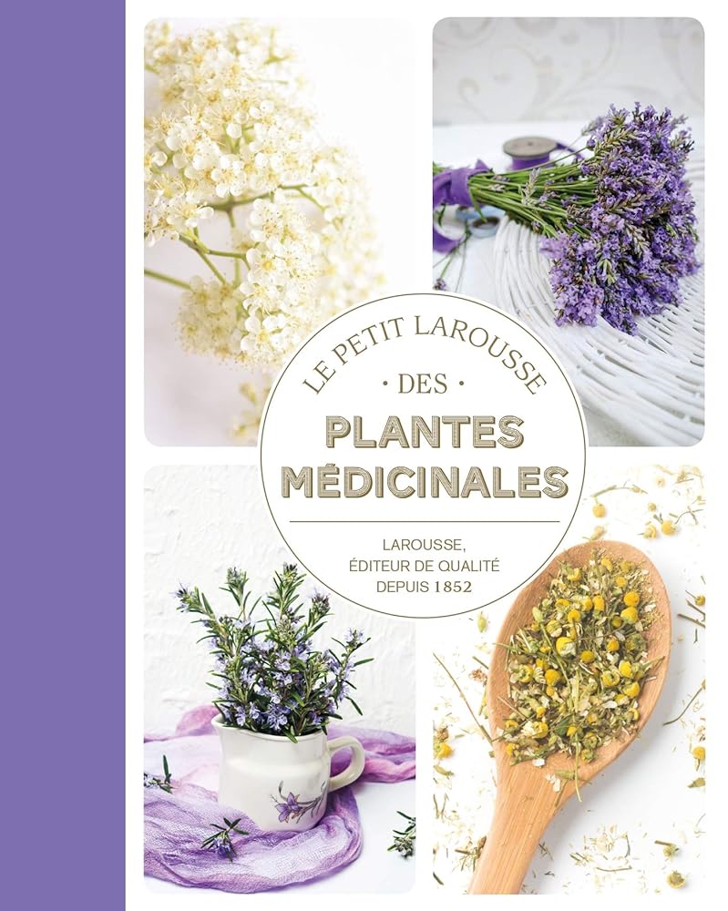 Petit Larousse des plantes médicinales - Gérard Debuigne, François Couplan, Pierre Vignes, Délia Vignes - Librairie du Grimoire Ancien